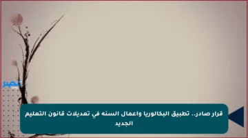 قرار صادر.. تطبيق البكالوريا وأعمال السنة في تعديلات قانون التعليم الجديد